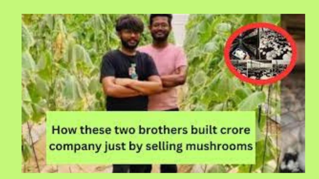 A3R Mushroom Farms Success Story