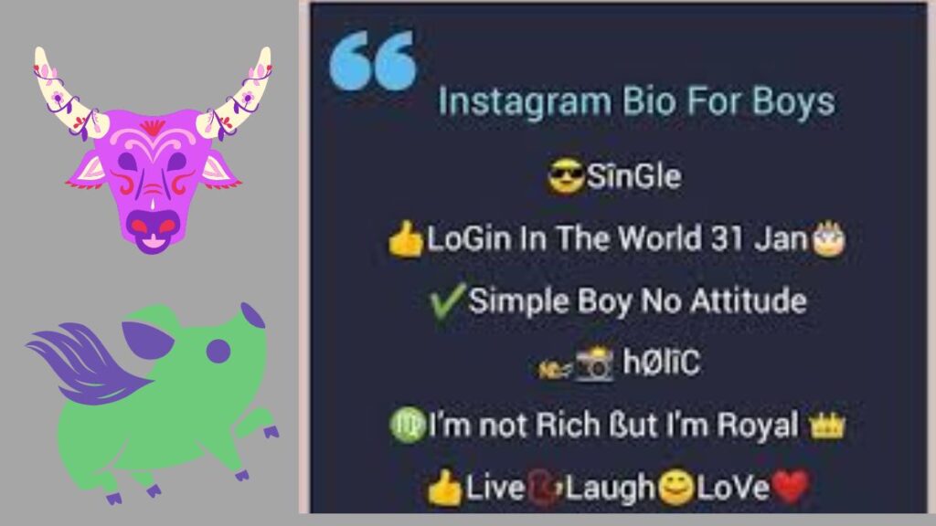 Best Instagram Bio For Boys